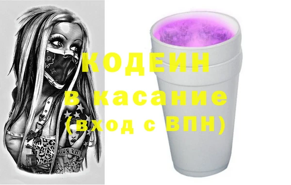 хмурый Абаза