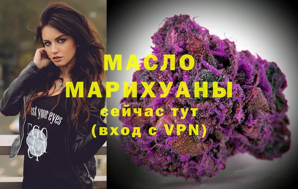 индика Осташков