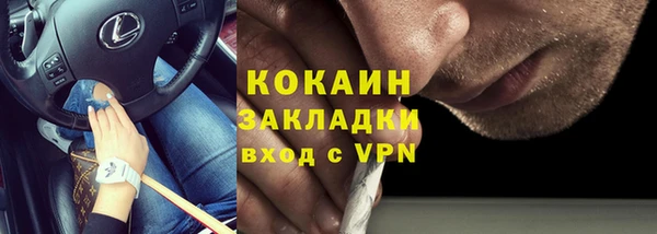 индика Осташков