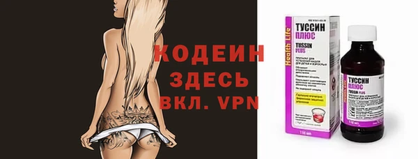 хмурый Абаза