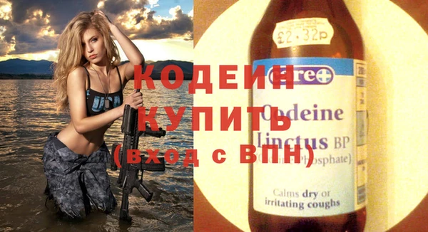 хмурый Абаза
