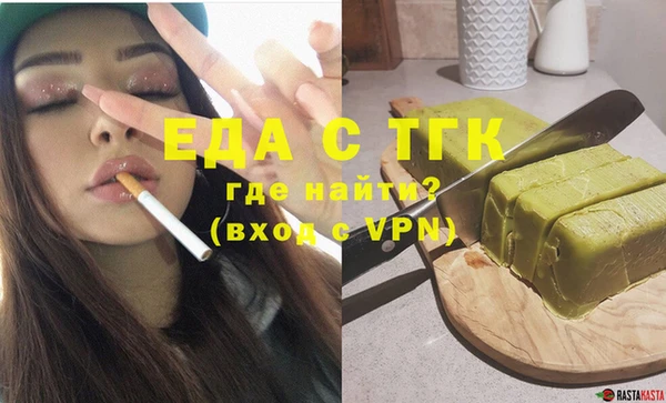 индика Осташков