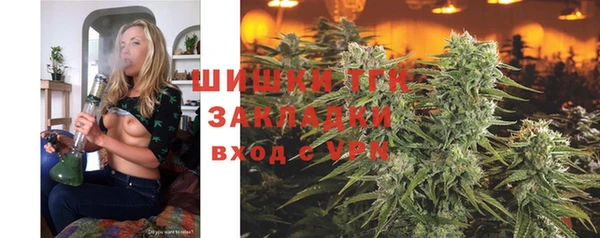 хмурый Абаза