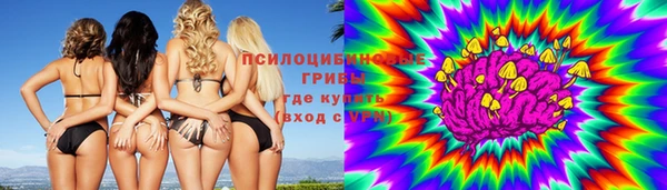 хмурый Абаза