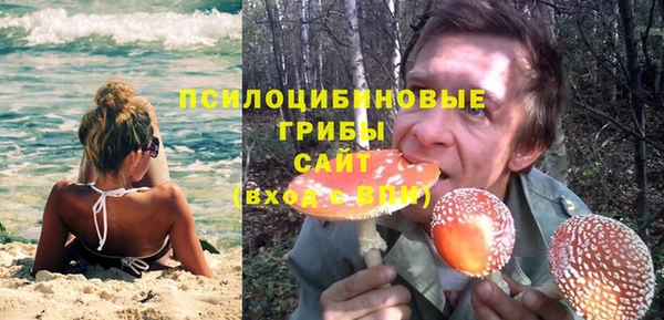 индика Осташков
