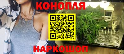 трава Славянск-на-Кубани