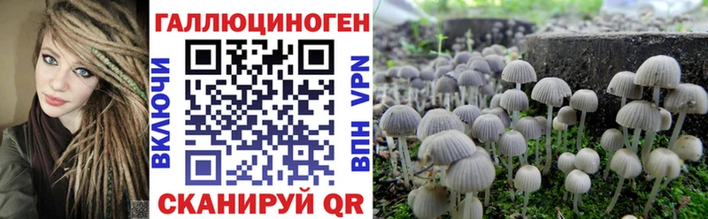 Галлюциногенные грибы Psilocybe  Одинцово 