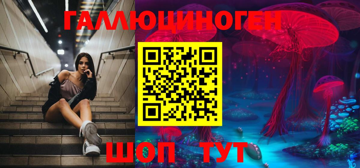 Псилоцибиновые грибы Cubensis  Вход с VPN  Одинцово 